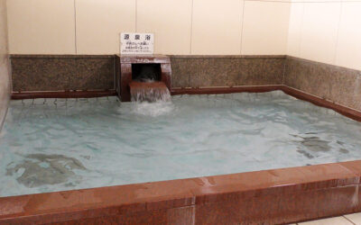 源泉浴 阿南温泉 かじかの湯