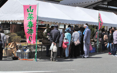 阿南町山菜春祭り