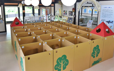 段ボール迷路 阿南町化石展示館