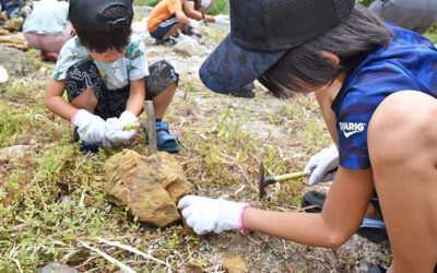 化石探しワークショップ 阿南町化石展示館
