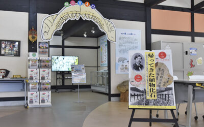 特別展示「帰ってきた植物化石」 阿南町化石展示館