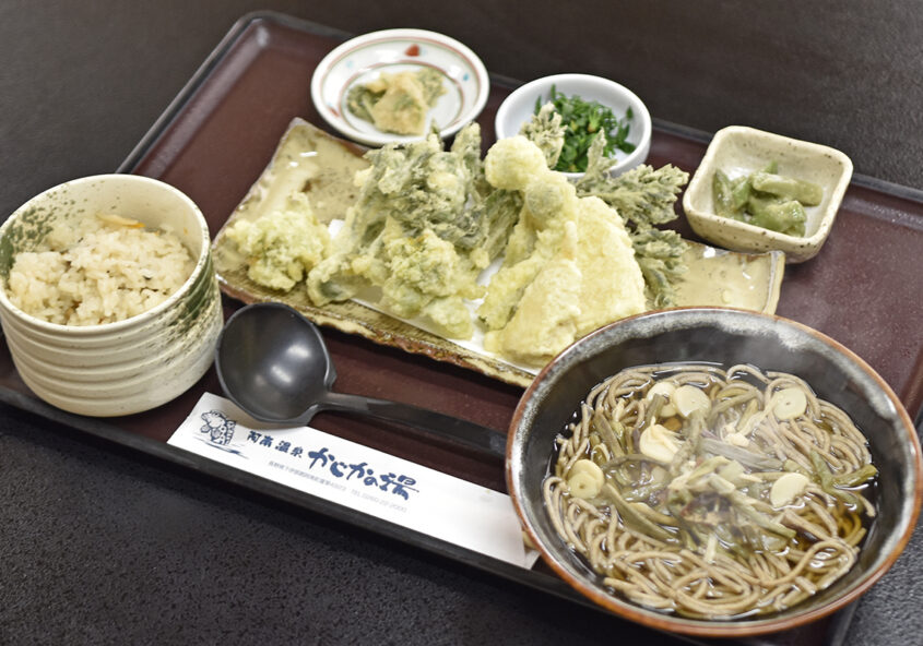 春薫る山菜づくし御膳 和食処かじか亭